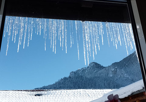 icicles
