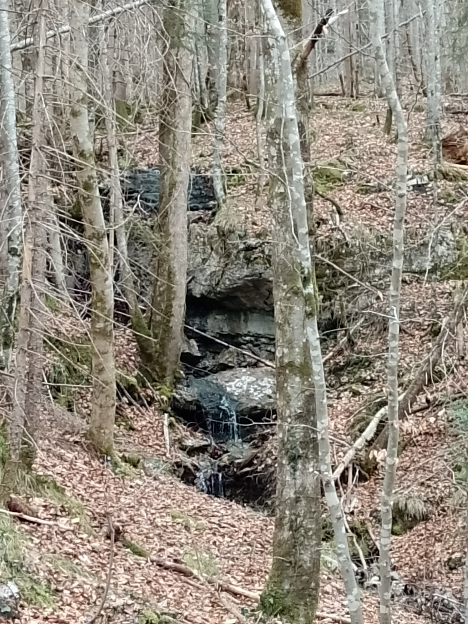 Werdenfels