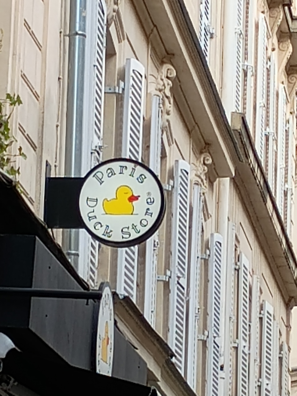 PM